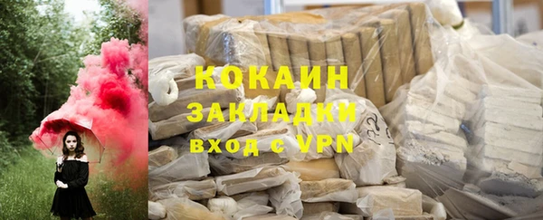 хмурый Алексин