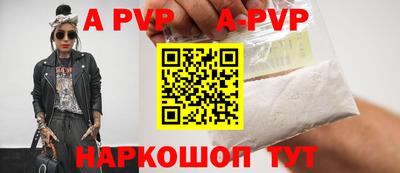 стаф Кингисепп
