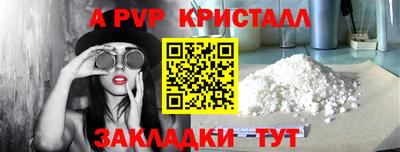 стаф Кингисепп