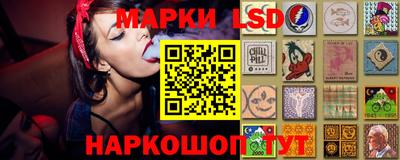 стаф Кингисепп