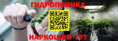 стаф Кингисепп