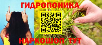 крисы Кинель
