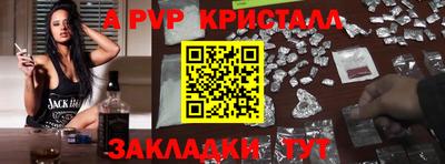 стаф Кингисепп