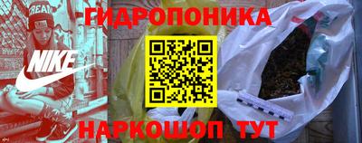 крисы Кинель