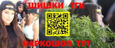 стаф Кингисепп