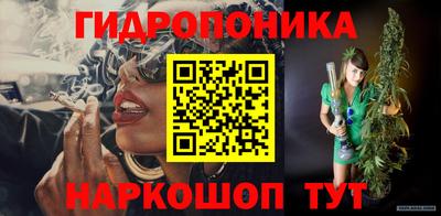 стаф Кингисепп