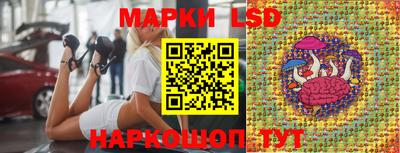 крисы Кинель