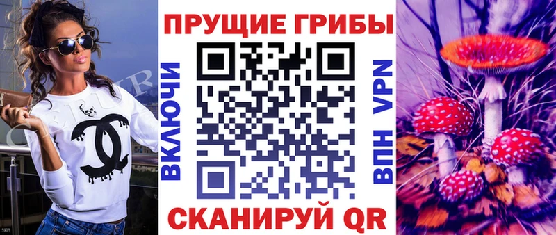 закладка  Керчь  Галлюциногенные грибы Cubensis 