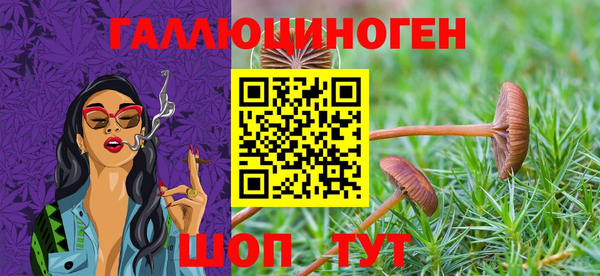 Керчь  Псилоцибиновые грибы прущие грибы  где продают наркотики  Вход с VPN 