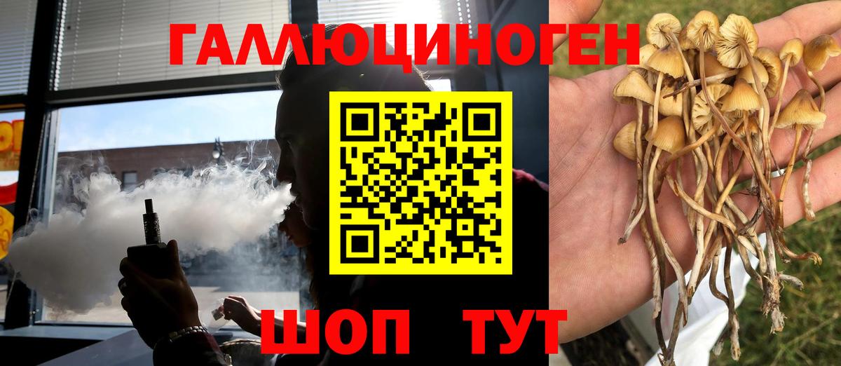 Псилоцибиновые грибы GOLDEN TEACHER Керчь